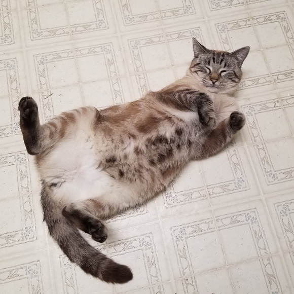 Meet your Posh Ambassador, Jessica - Picture 3 of 3